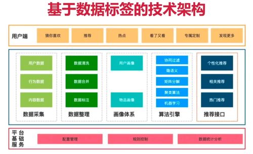 数据打标签系统 csdn